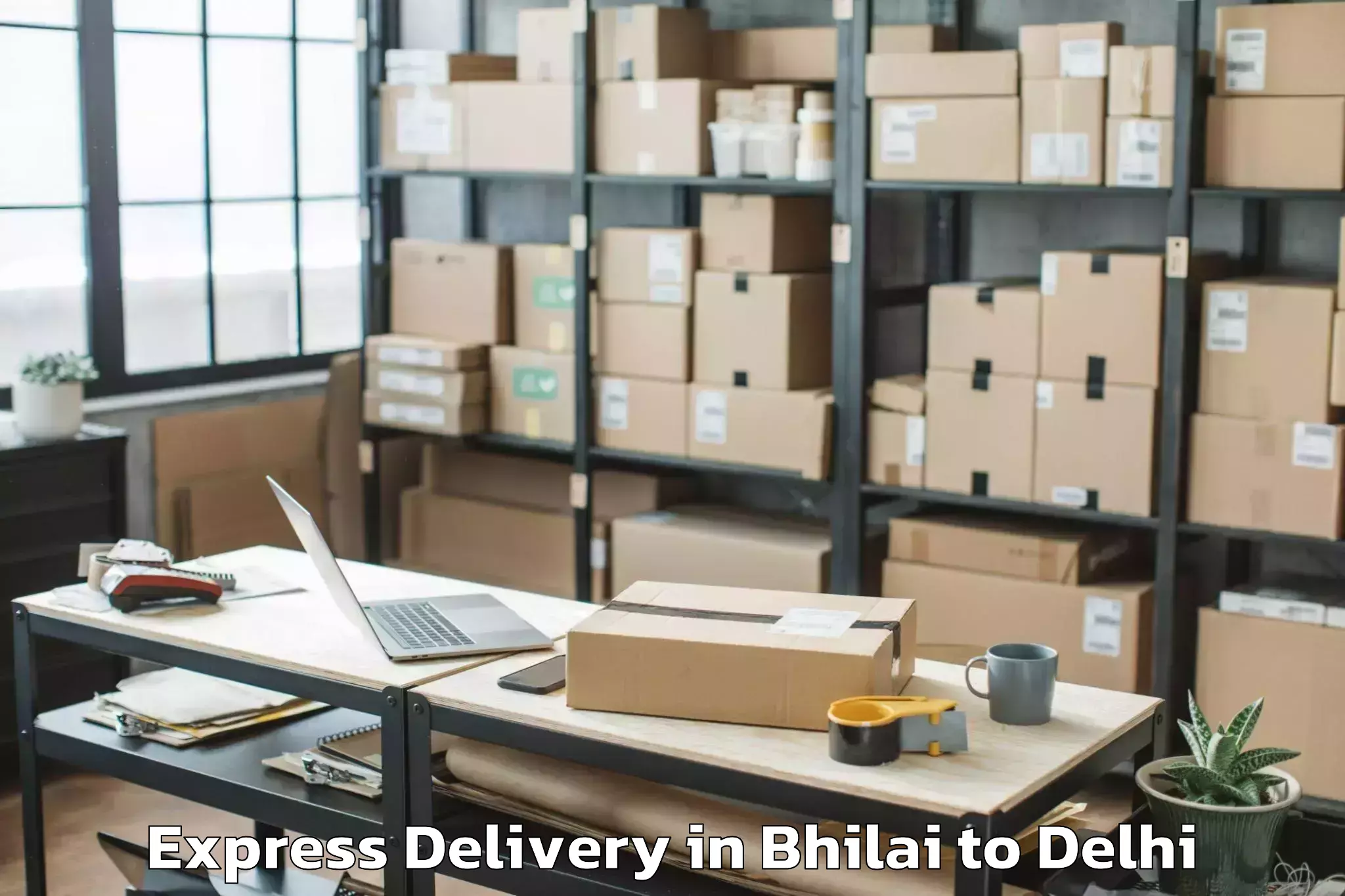 Trusted Bhilai to Alipur Express Delivery